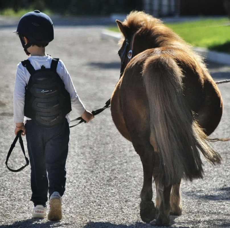 ニューシーズンについて