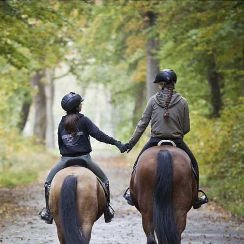 ニューシーズンについて