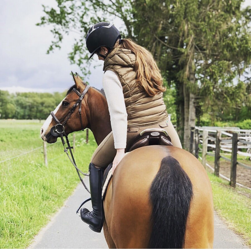 ニューシーズンについて